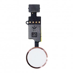 Home Button for iPhone 7 / 8 / Plus / SE2020 with Flex Cable Rose Gold