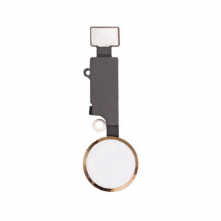 Home Button for iPhone 7 / 8 / Plus / SE2020 with Flex Cable Gold