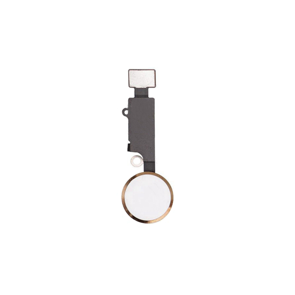 Home Button für iPhone 7 / 8 / Plus / SE2020 mit Flexkabel Gold