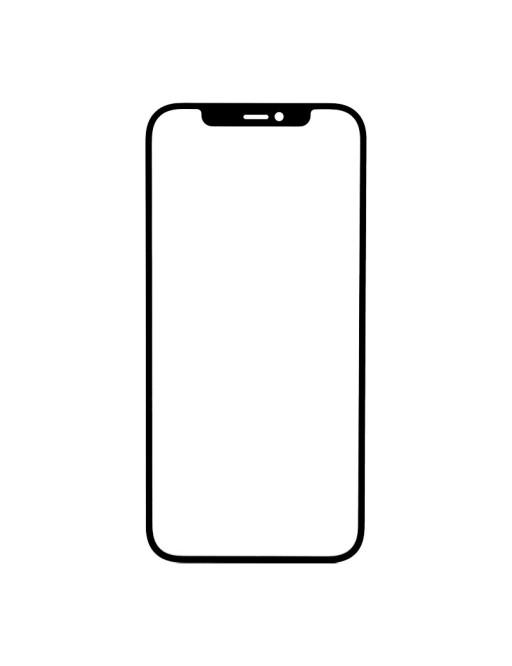 Vitre arriére en verre BIG HOLE pour iPhone 11 sans logo noir