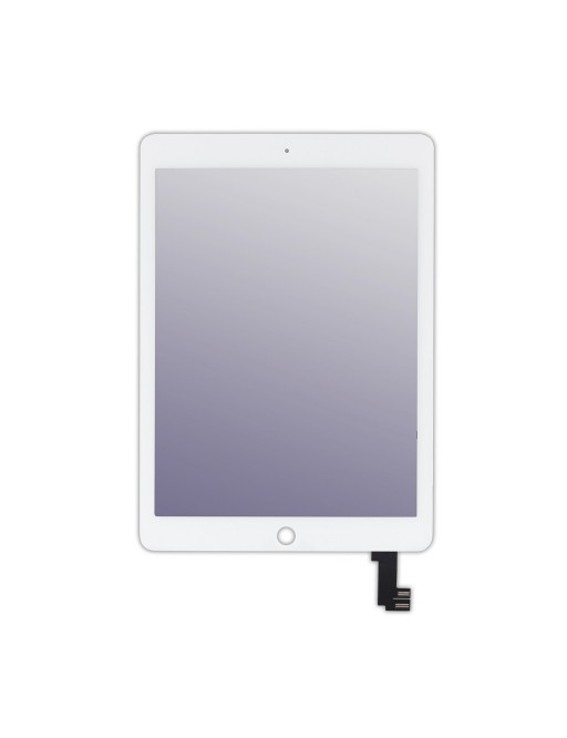 iPad Air 2 Touchscreen vetro digitalizzatore bianco (A1566, A1567)