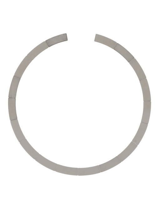 Backcover anneau magnétique pour iPhone 15 / 15 Plus