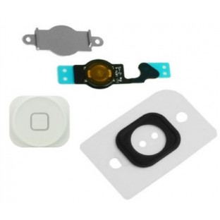 iPhone 5 Home Button Bianco (A1428, A1429)